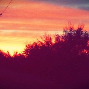 Meet your Posher, Sofia